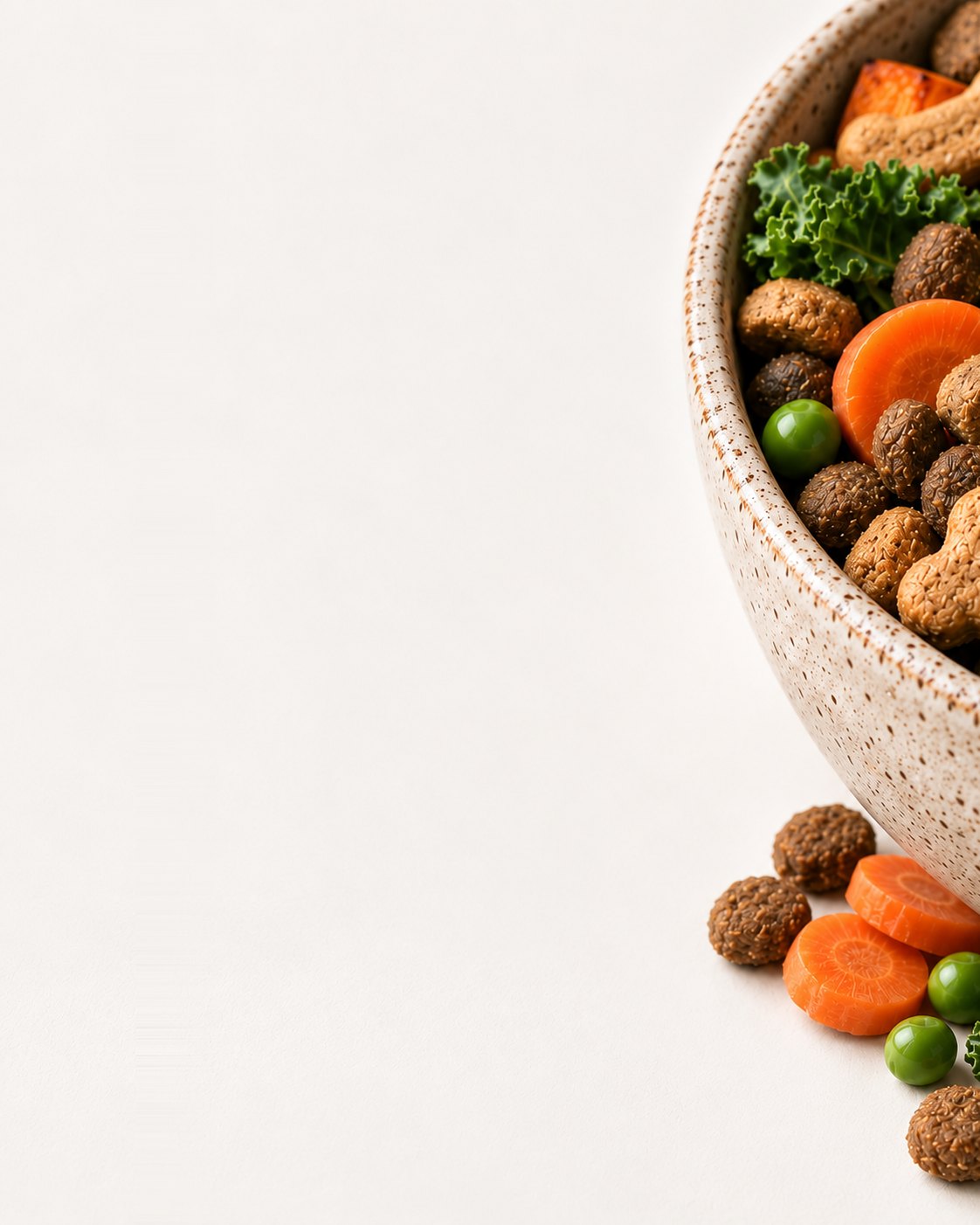 Close-up of a stoneware bowl of dog food, biscuits and vegetables for the Crunchy department